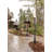 Lamp Post (Full)-1633394436