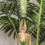 6FT Faux Artificial Palm Tree with Pot for Indoor Decor-1600527587