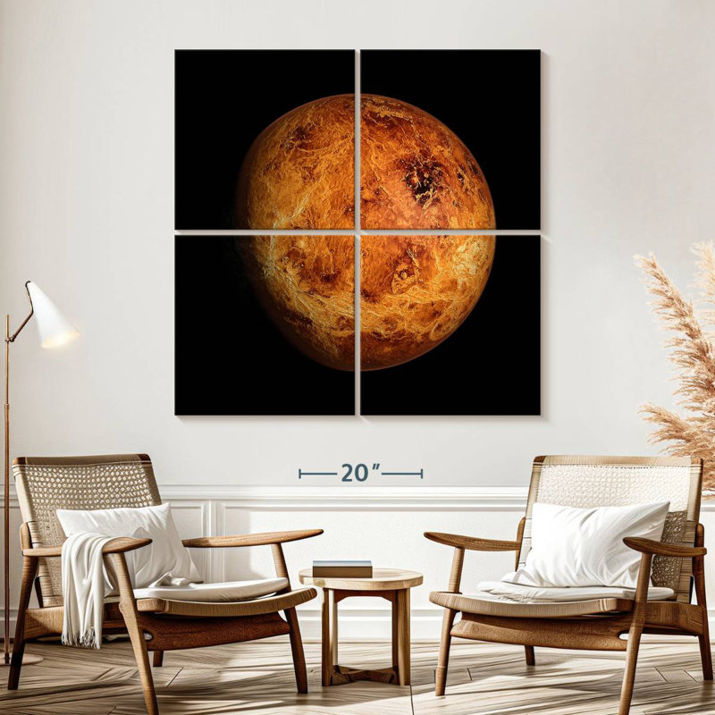 Oberle Venus Close Up, 57" H x 57" W