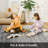 Wanjiku Abstract Indoor Rug-1592372095