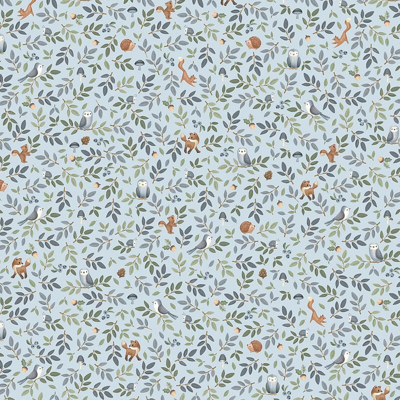  Forest Adventure Wallpaper