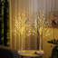 Holiday Lighting