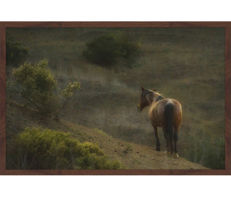 Melanie Snowhite - Single Picture Frame Print, 61cm H x 91cm W x 3.81cm D