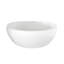 Picasso 60.75'' L Soaking Bathtub-1901319886-1901319734