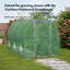 Polytunnel Greenhouse 3x2m