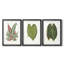 Feuilles de collection IV - impression encadrée sur mesure de qualité supérieure - 3 pièces-116125610