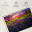 Champ de lavande Alvord Pastel Horizon-111982974