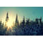 Shine Bright by Robert Dickinson - Wrapped Canvas Print-228000856