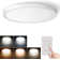 Kauno  15.8inch 24W Flush Mount Ceiling LED Light