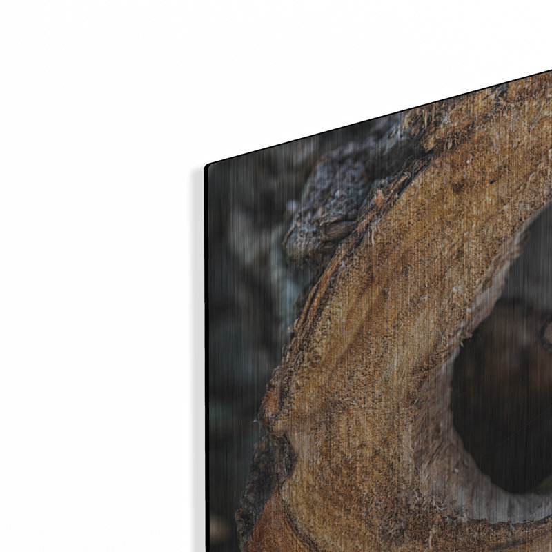 Ivy Bronx «Textures 40» par Gordon Semmens, art mural en métal, H 12 po x l 16 po