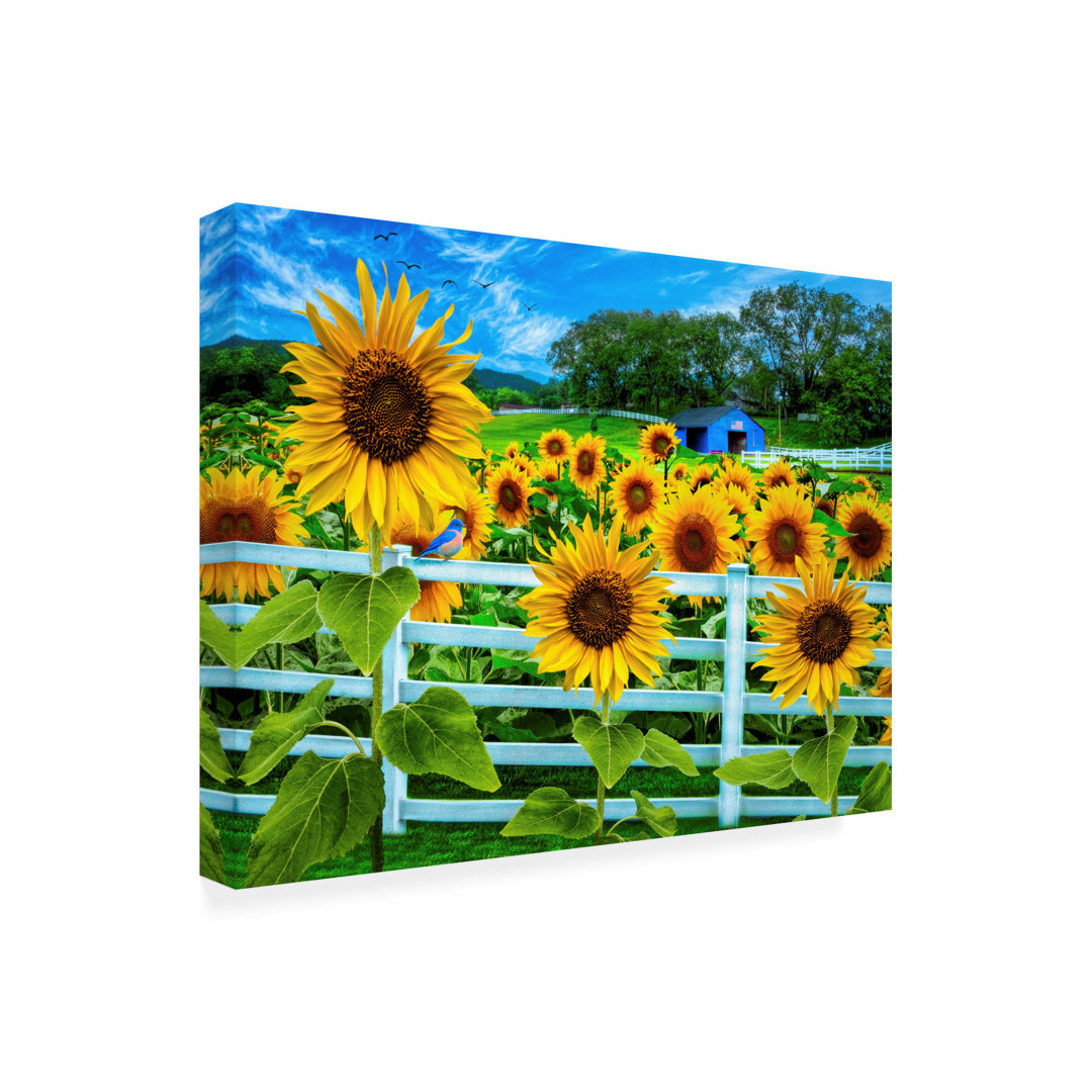 Amaylee Sweet Summer Sunflowers On Canvas by Art Licensing International Print August Grove® 