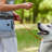 Dog Training Treat Pouch Bag For Training-114605847