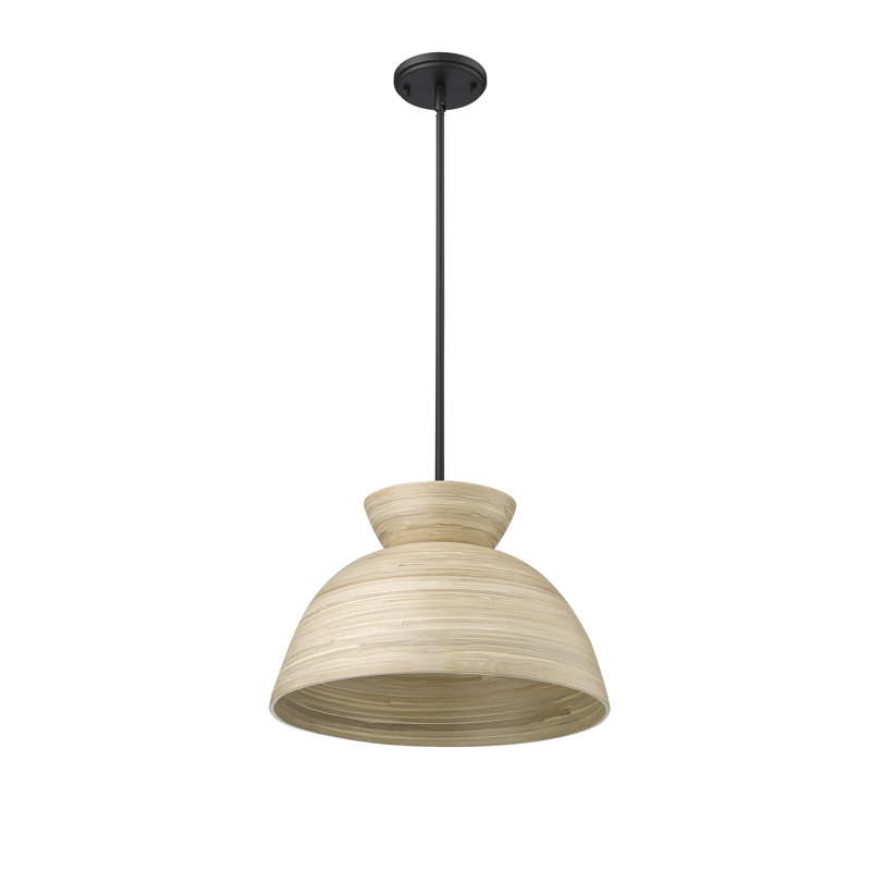 Luminaire suspendu 1 lumière Karlton