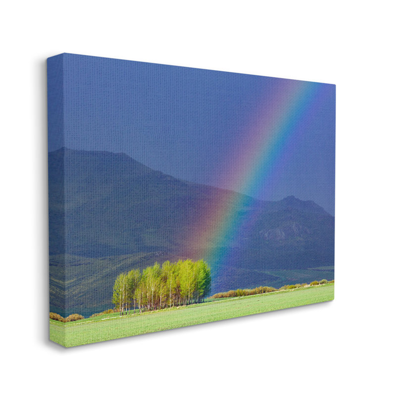 «Uplifting Rainbow Rays Tree Grove Mountain Landscape» par Steve Smith - photographie sur toile, Toile tendue