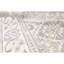 Neo Villa Oriental Area Rug in Ivory-48380756