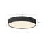 Rynn 5-in Black dimmable LED Flush Mount-1526963965