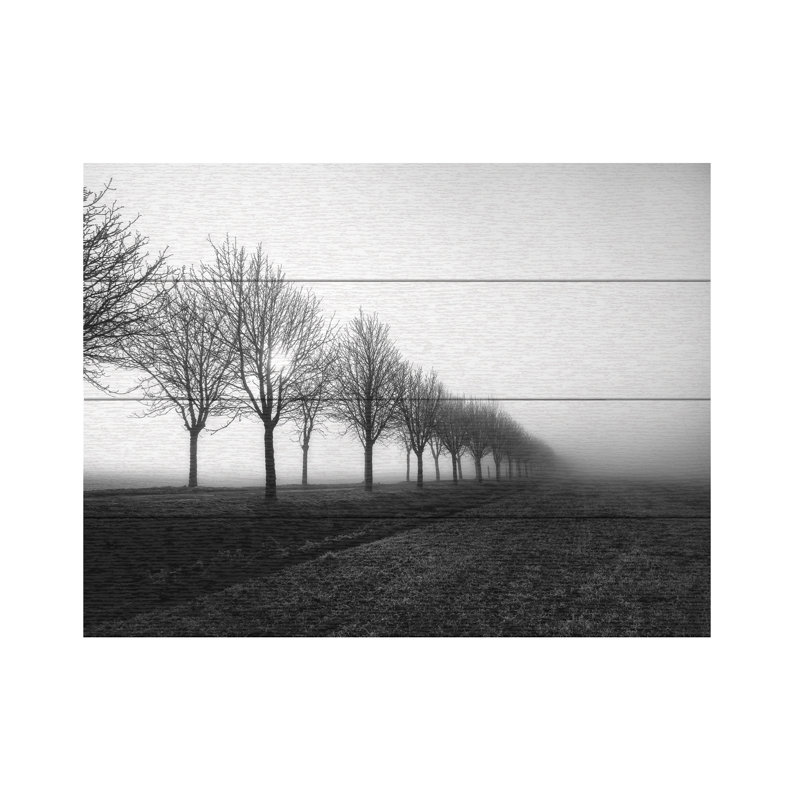 Christophe Staelens, H 12 po x l 16 po