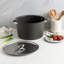 Verde 16 Qt Stock Pot With Lid