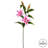 Lily Arrangement