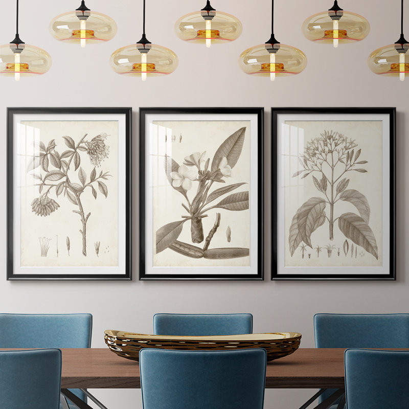 Antique sépia botanicals I - impression encadrée sur mesure de qualité supérieure - 3 pièces, H 21 po x l 30 po, Noir