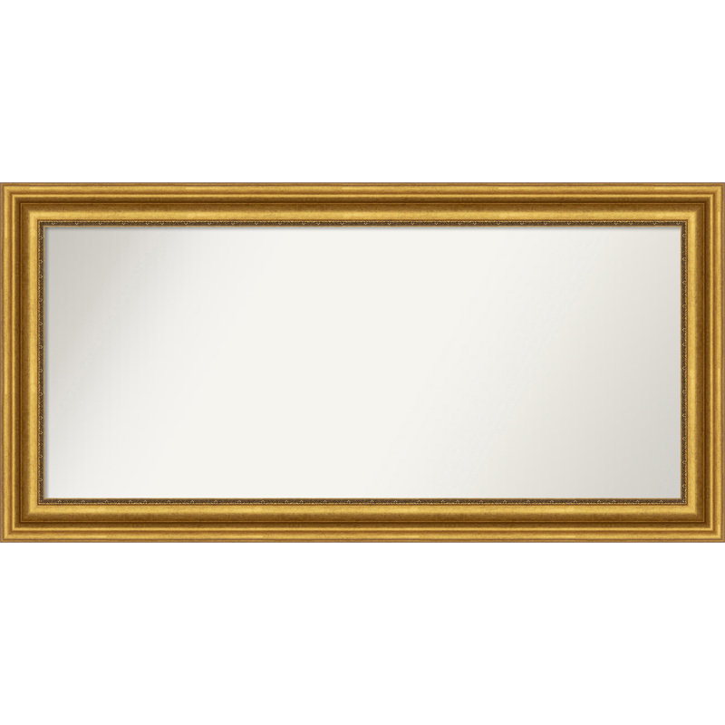 Jashawna Wall Mirror, 25.75" x 51.75", Gold
