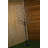Micro Dot Lighted Trees and Branches-63383342-63383343