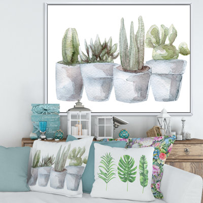 " Cactus And Succulent House Plants V "
