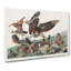 Virginia Partridges by John Audubon - Wrapped Canvas-55370112