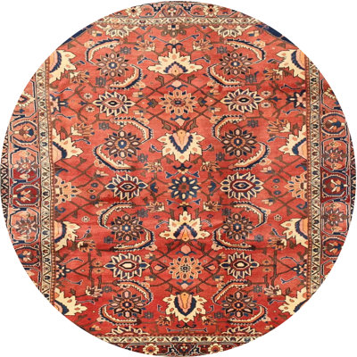 Cecele Oriental Indoor Rug