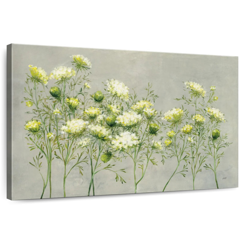 Queen Anne's Lace, H 24 po x l 36 po