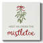 Mistletoe Wishes I-2120328723