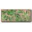 Carnet de croquis tropical, corail, toile encadrée-110603866