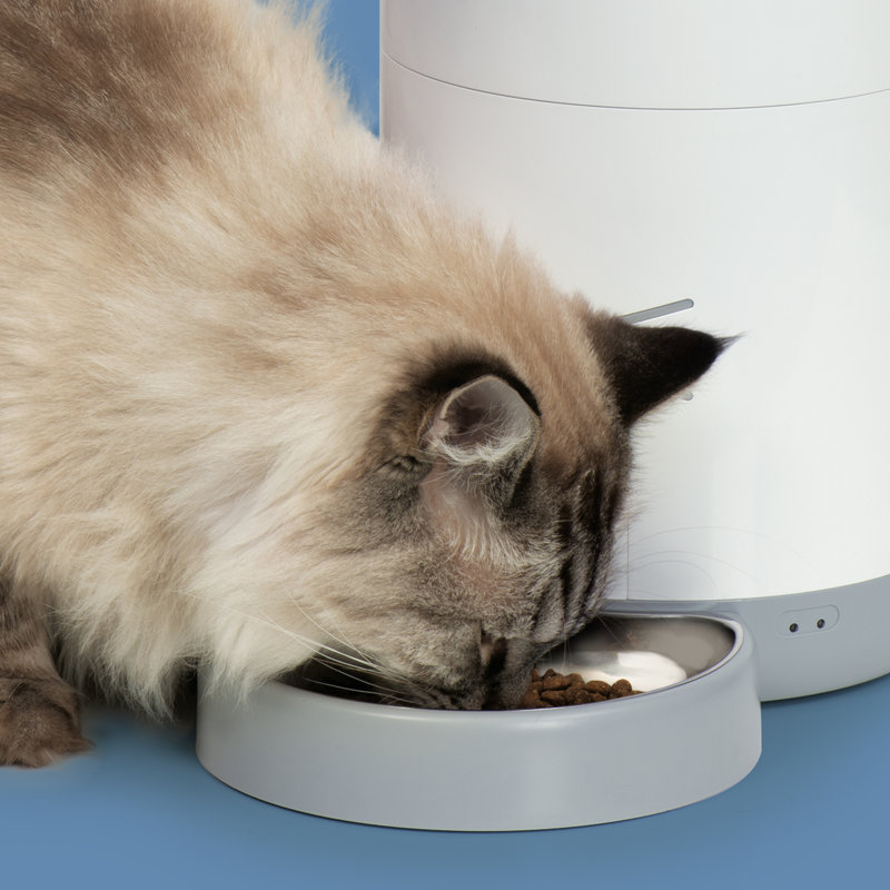 Catit Pixi Smart Feeder