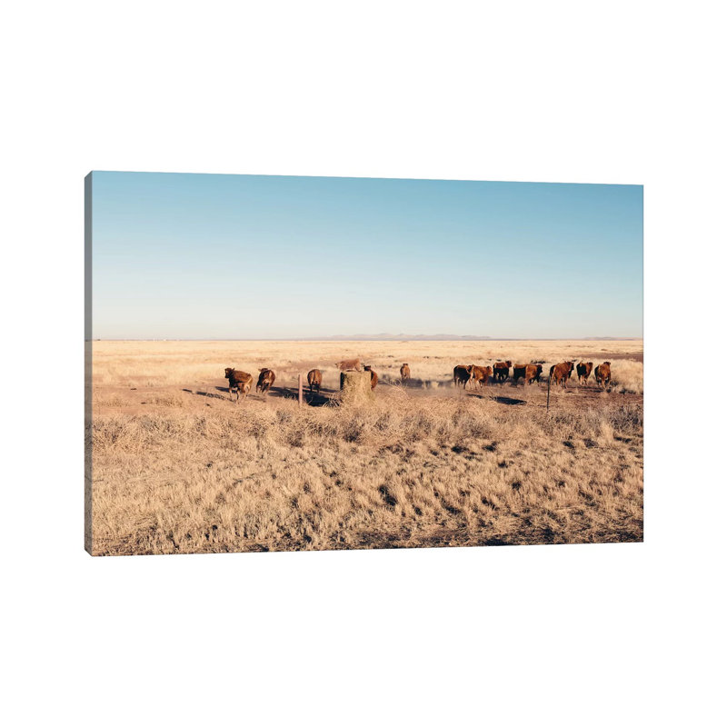 Stampede 1 Piece Wrapped Canvas Wall Art, 20.32 cm H x 30.48 cm W