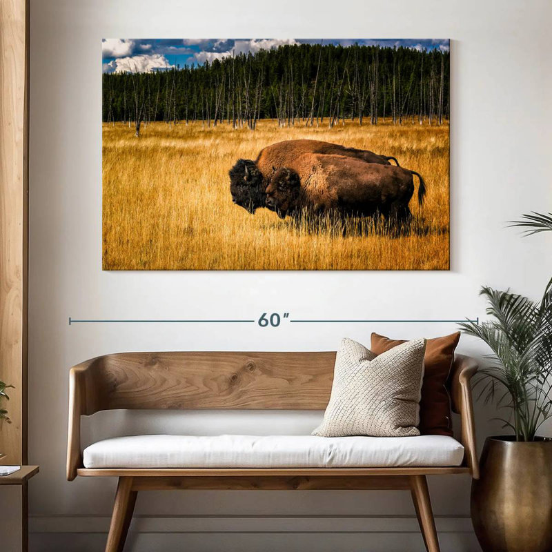 Brampt West Yellowstone Bison, 34" H x 51" W