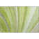 Premium Machine Washable Cerrito AMF585 Aloe Rug