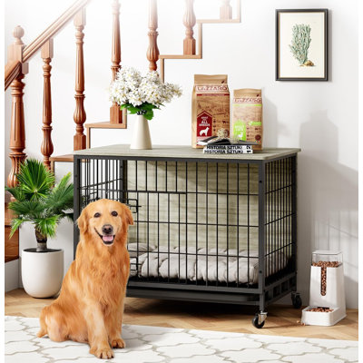Mobilier de cage pour chien, chenil pour chien à deux portes d'intérieur avec plateau et roues amovibles