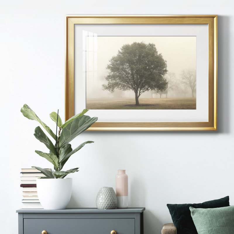 «Trees In The Fog I», reproduction encadrée de qualité supérieure - prête à être accrochée, H 26,5 po x l 36,5 po x P 1 po