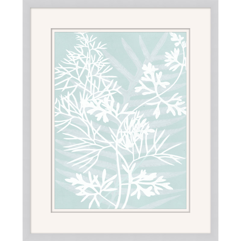 Delicate Fern Assimilation 4 Print