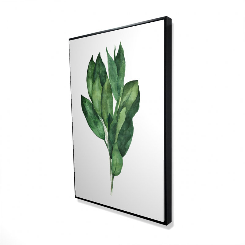 " Bay Leaves Bundle "