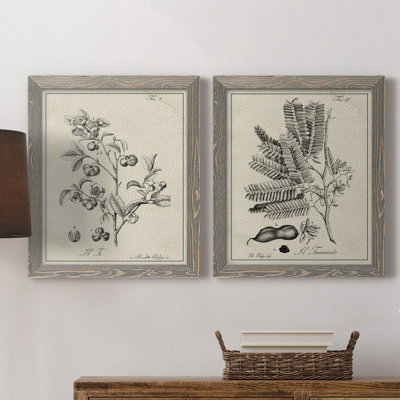 " Antique Black And White Botanical IV " 2 - Pieces Painting Print
