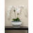 Ming indigo jar-129872145