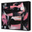 100 Paintings Project 63 Framed Acrylic Painting Print Canvas