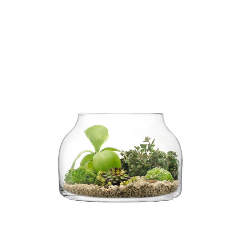Handcrafted Glass Indoor Terrarium, 8.5" H x 11.42" W x 11.42" D