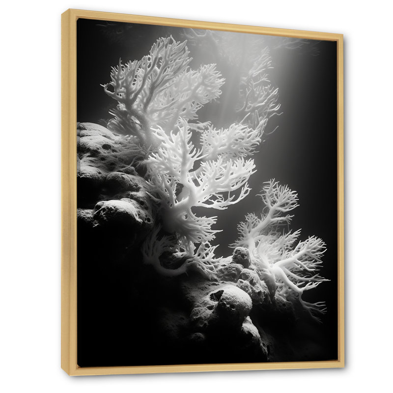 Anémone noire et blanche IV sur toile, H 32 po x l 24 po x P 1 po, Cadre naturel flottant