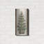 Luxe Wood Art «Wood Land Spruce Tree» par Cindy Ja «Wood Land Spruce Tree» par Cindy Jacobs