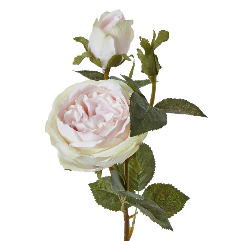 Arrangement