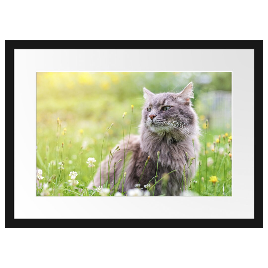 Gerahmtes Poster Katze in der Wildnis