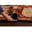 Wool Floral Indoor Rug-71205305
