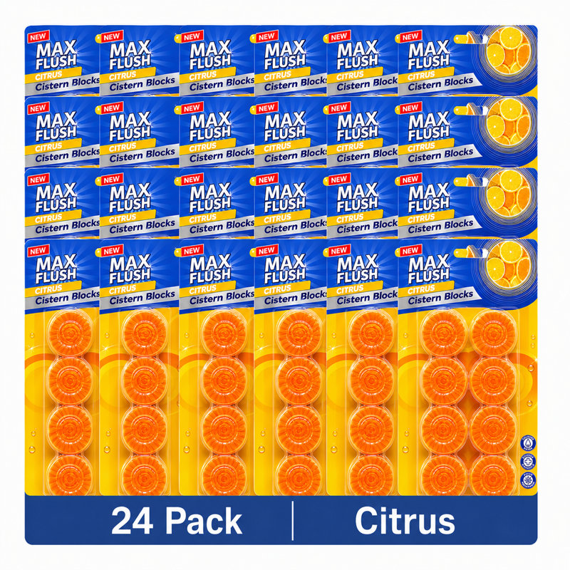 Toilet Cistern Blocks Multiple Fragrance Toilet Freshener Tablet 50G Automatic Toilet Care And Flush Colouring Block Ocean Pack Of 24